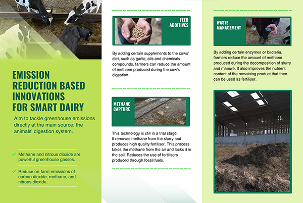 Dairy farm poster